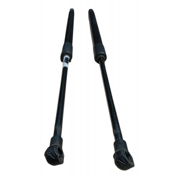 Amortecedor Tampa Traseira Porta Malas Fiat 500 2012 2013