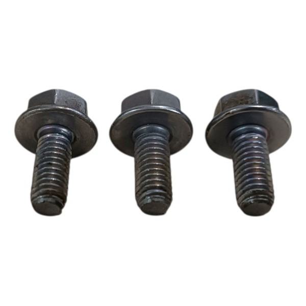 Parafuso Polia Bomba Direção Hidráulica Sandero 1.0 16v 2012