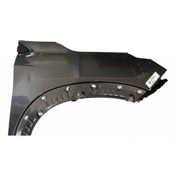 Paralama Dianteiro Direito Fiat Pulse 2023 2024 Furo Moldura