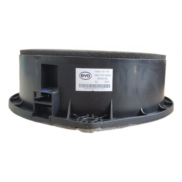 Auto Falante Porta Dianteira Byd Dolphin Gs 180ev 2024 2025 Preto