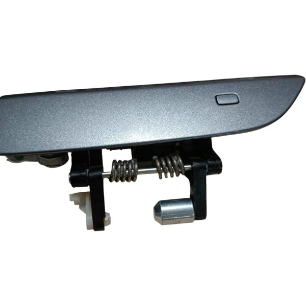 Maçaneta Externa Byd Dolphin Gs 2024 Dianteira Esquerda Cinza Dianteira