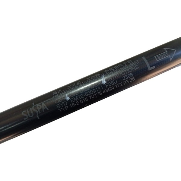 Amortecedor Tampa Traseira Porta Malas Byd Dolphin Gs 2024