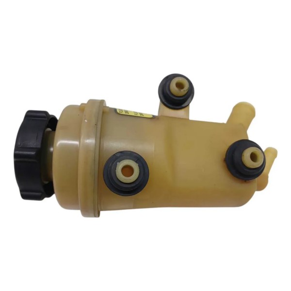 Reservatório Óleo Direção Hidráulica Focus 2.0 2000/2009